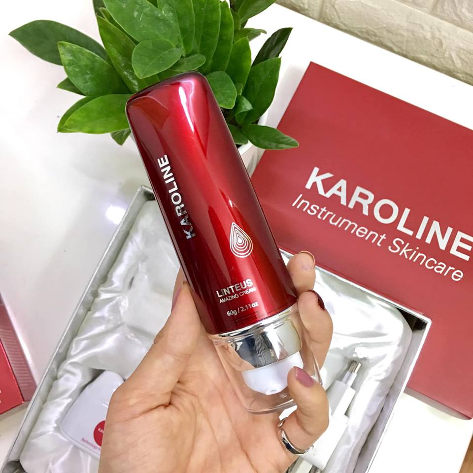 47685233_1237371616401251_3427658814474682368_n