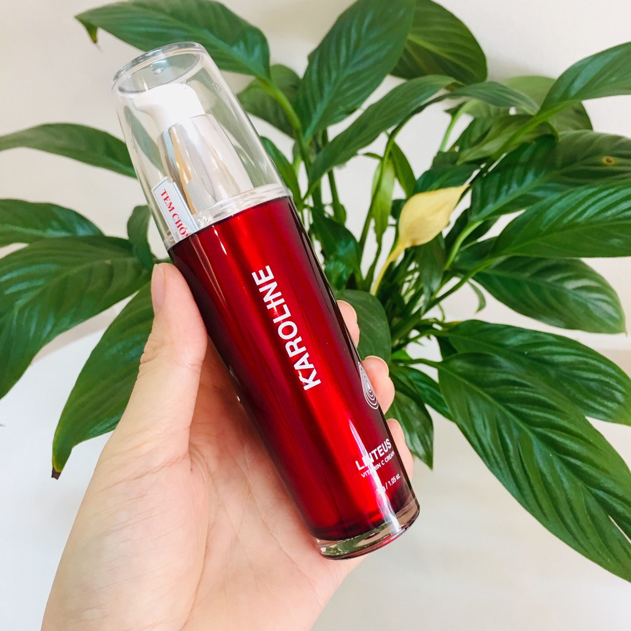 e55c69182144c61a9f55